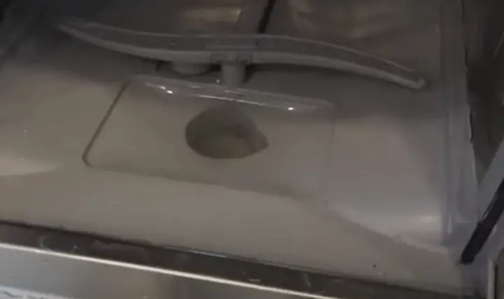 How to Clean a Dishwasher Drain Trap