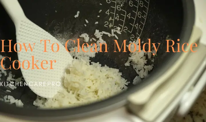 How To Clean Moldy Rice Cooker
