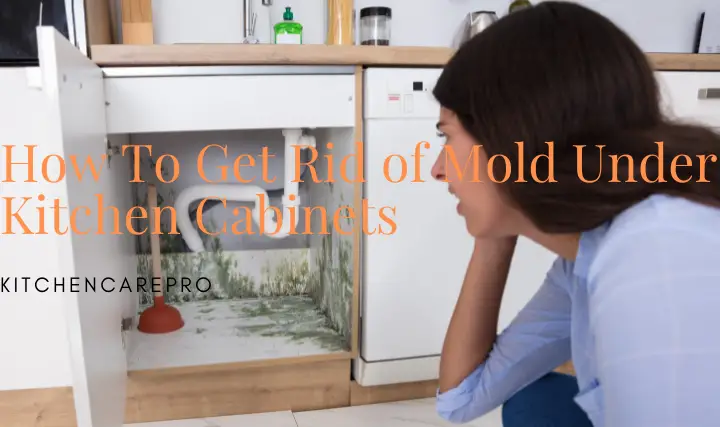 How To Get Rid of Mold Under Kitchen Cabinets