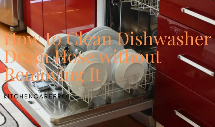 How to Clean Dishwasher Drain Hose without Removing It